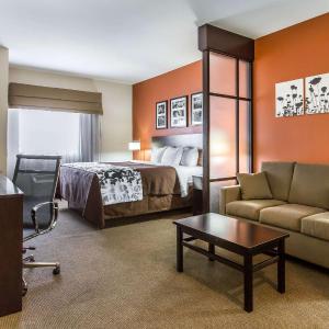 King Suite with Roll-in-Shower - Accessible/Non-Smoking