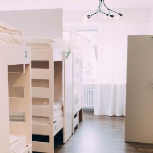 Bed in 8-Bed Mixed Dormitory Room