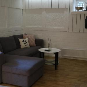 Family Room - Basement