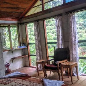 King Room with Garden View