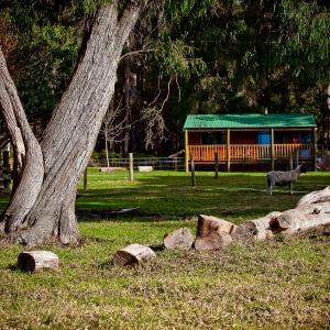 Two-Bedroom Chalet (Pet Friendly)