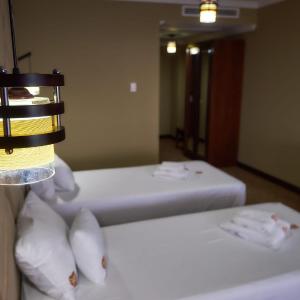 Deluxe Double or Twin Room with Balcony