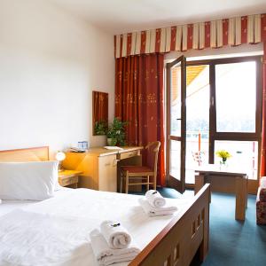 Standard Double or Twin Room with Balcony