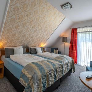 Single Room - Guest house