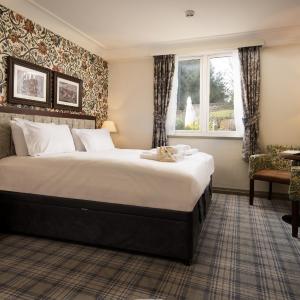 Superior Double or Twin with Sofa Bed