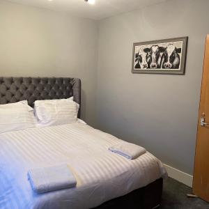 Standard Double Room with Shared Bathroom