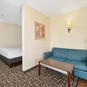 Deluxe One-Bedroom Suite - Pet-Friendly