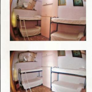 Bunk Bed in Mixed Dormitory Room