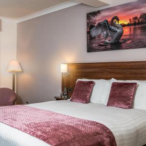 Executive Double or Twin Room