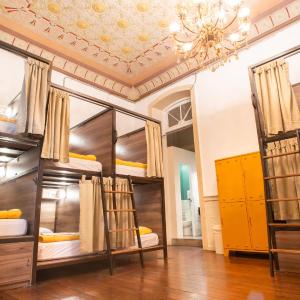 Single Bed in 14-Mixed Dormitory Room