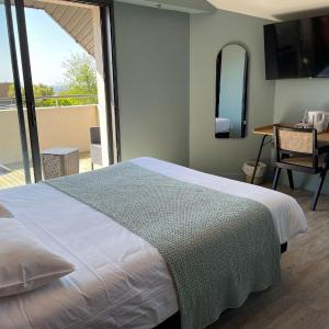 Superior Plus Double room with terrace