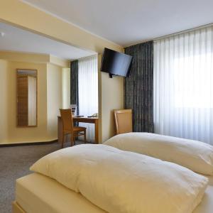 Triple Room - Free City Ticket