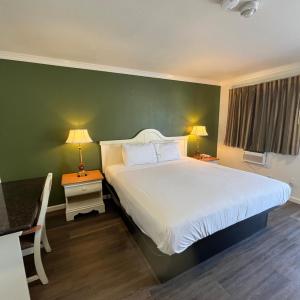 Single Room - Disability Access