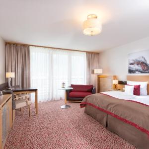 Comfort Double Room with Mountain View