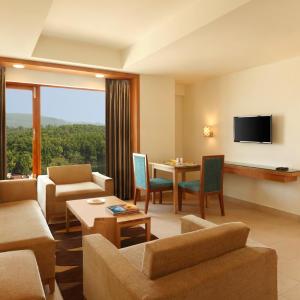 Deluxe King Suite