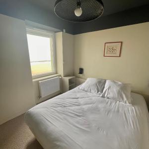 Basic Triple Room
