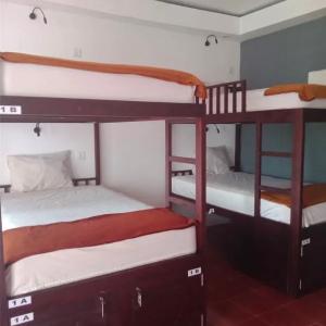 Bed in 4-Bed Mixed Dormitory Room