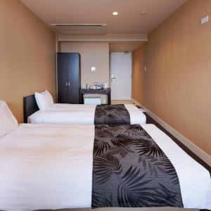 Standard Twin Room with Ocean View