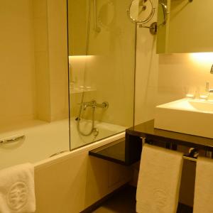 Triple Room (2 Adults + 1 Child )