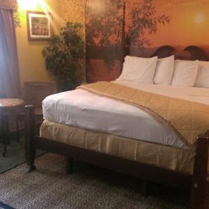 King Room with Spa Bath