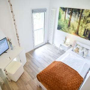 Single Room with View