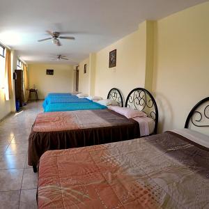 Single Bed in 7-Bed Mixed Dormitory Room