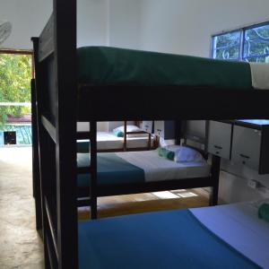 Bed in 6-Bed Mixed Dormitory Room
