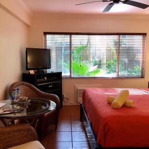 Studio with Garden View