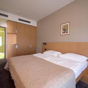 Special Offer - Classic Double Room with Half board inclusive drinks by dinner