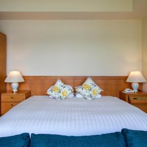Dinner time 18:00-Double Room with Lake View  with French dinner