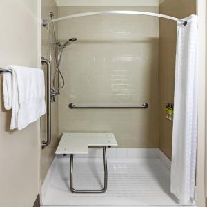 Queen Studio with Roll-In Shower - Non-Smoking