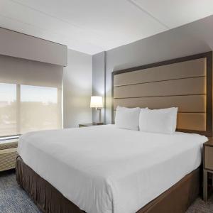 King Room with Sofa Bed