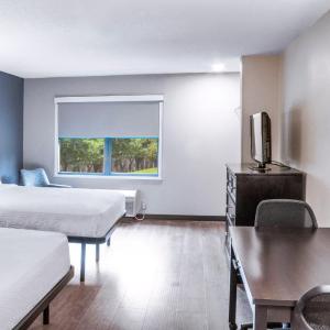 Double Studio with Two Double Beds - Non-Smoking