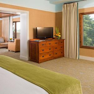 Executive Junior Suite with One King Bed
