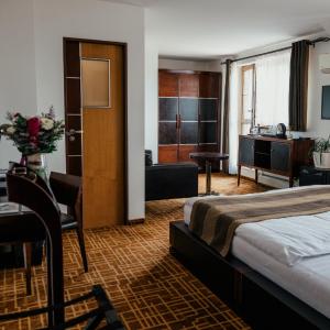 Junior Suite with Terrace
