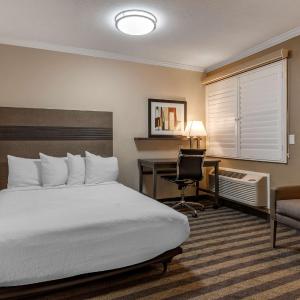 Queen Room with Two Queen Beds and Roll-In Shower - Mobility Access/Non-Smoking