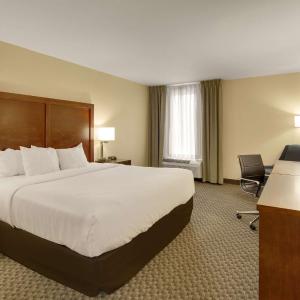 King Room Pet Friendly - Accessible/Non-Smoking
