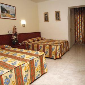 Family Room (4 Adults)