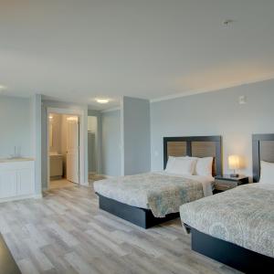 Duplex Suite