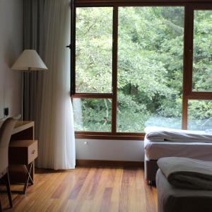 Deluxe Double or Twin Room with River View