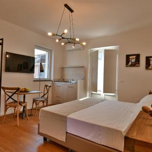 Studio with Terrace