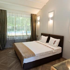 Superior Deluxe Double or Twin Room 