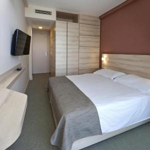 Classic Single Room with Balcony - Park Side