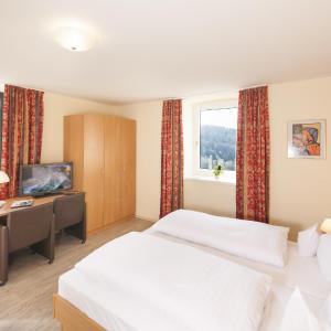 Double Room with Mountain View