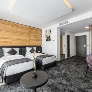 Executive Room with Sofa Bed