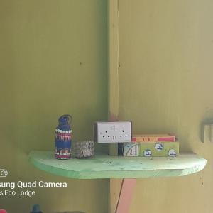 Bunk Bed in Mixed Dormitory Room