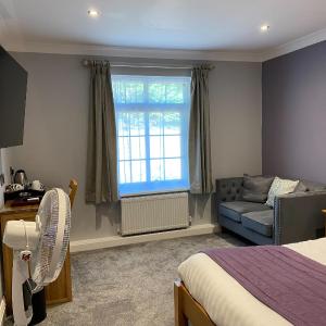 Ashton Suite