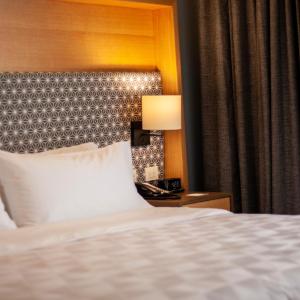 Standard Queen Room with River View