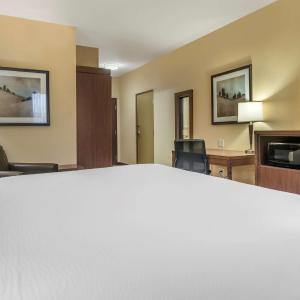 King Room with Sofa Bed - Disability Access/Non-Smoking