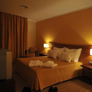 Junior Suite (2 Adults)